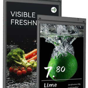 10-inch Double-sided Color Display